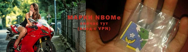 прущие грибы Карпинск