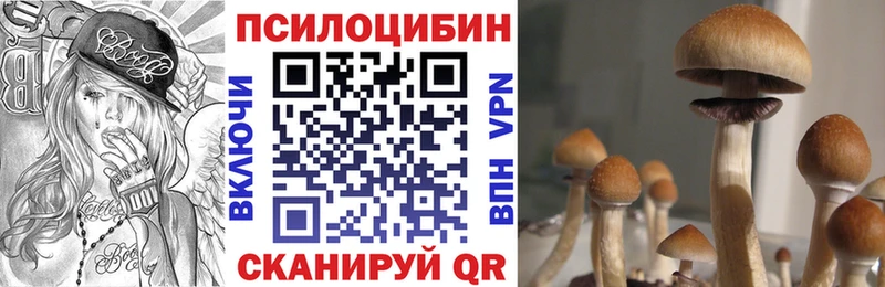 Псилоцибиновые грибы Psilocybine cubensis  Купить где  Ирбит 